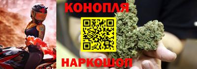 apvp Кунгур