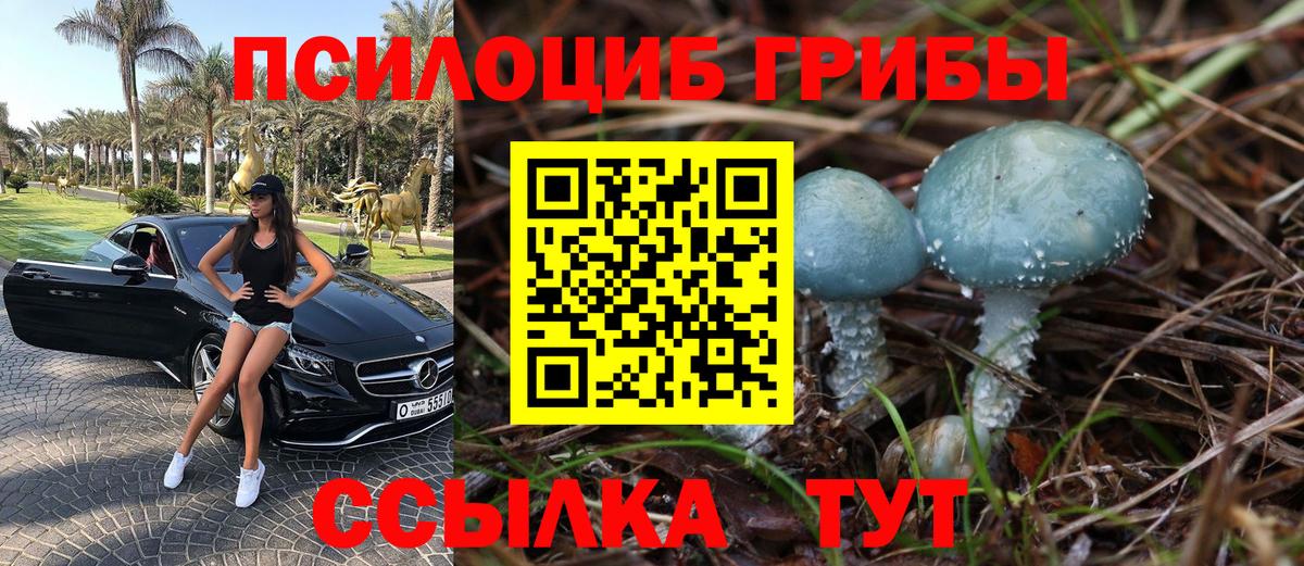 купить   Псилоцибиновые грибы мухоморы  Галлюциногенные грибы Cubensis  Вход с VPN  Калач-на-Дону 